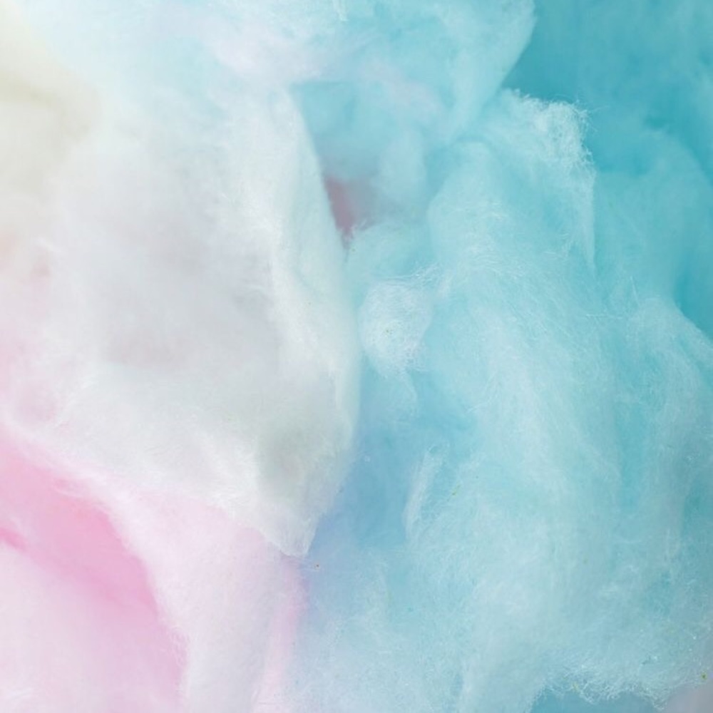 Meet your Posher, Kacey